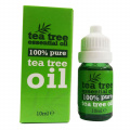 tea-oil-tree